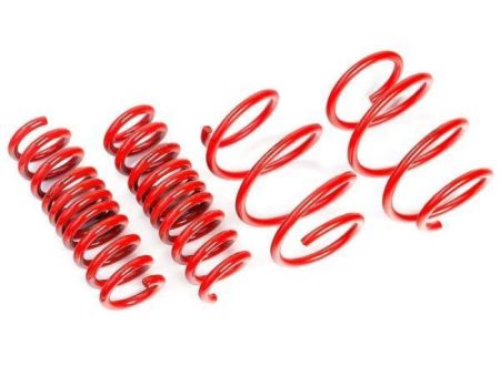 AST Suspension Tesla Model 3 Long Range AWD Lowering Springs - 30mm For Discount